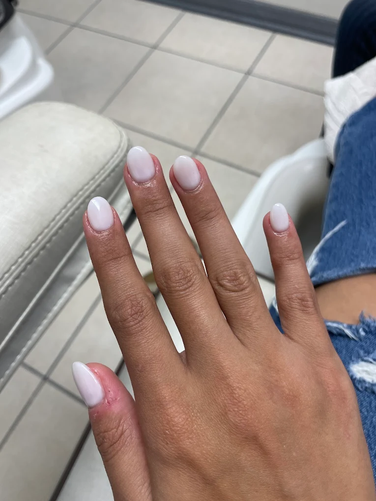 Nail Studio Artistry 6